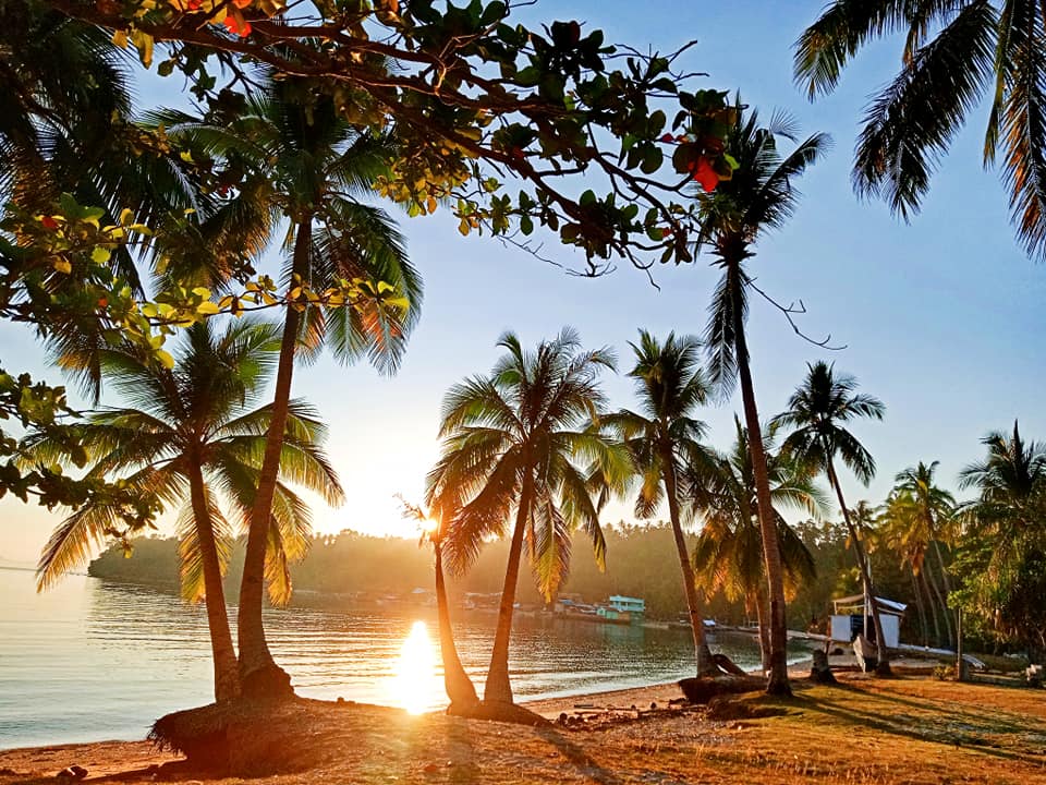 董索 Ticao island resort 鯨鯊城市5日