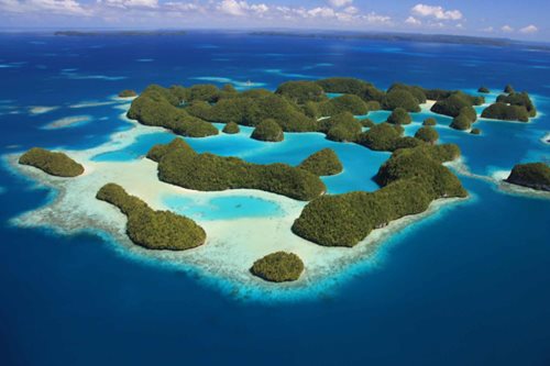 帛琉Palau Pacific Resort 5天4夜 | 檸檬鯊潛水旅遊
