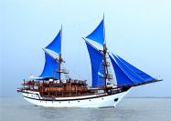 科摩多 Sea Safari 船宿8日|精選全球優質潛水中心